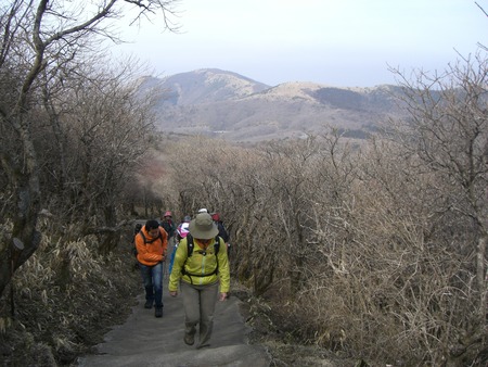 九重山域