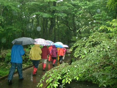 平治岳（大戸越）