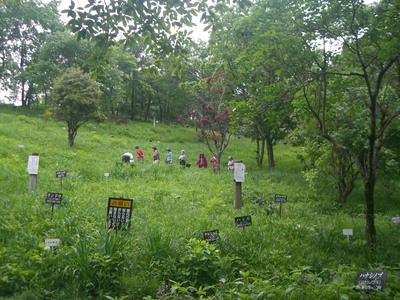 平治岳（大戸越）