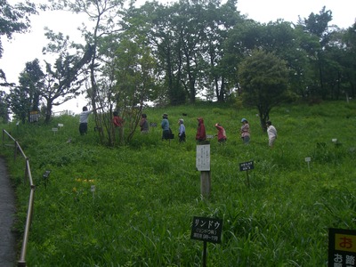 平治岳（大戸越）