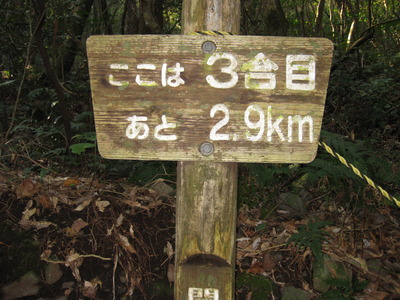 開聞岳（薩摩富士）に登る