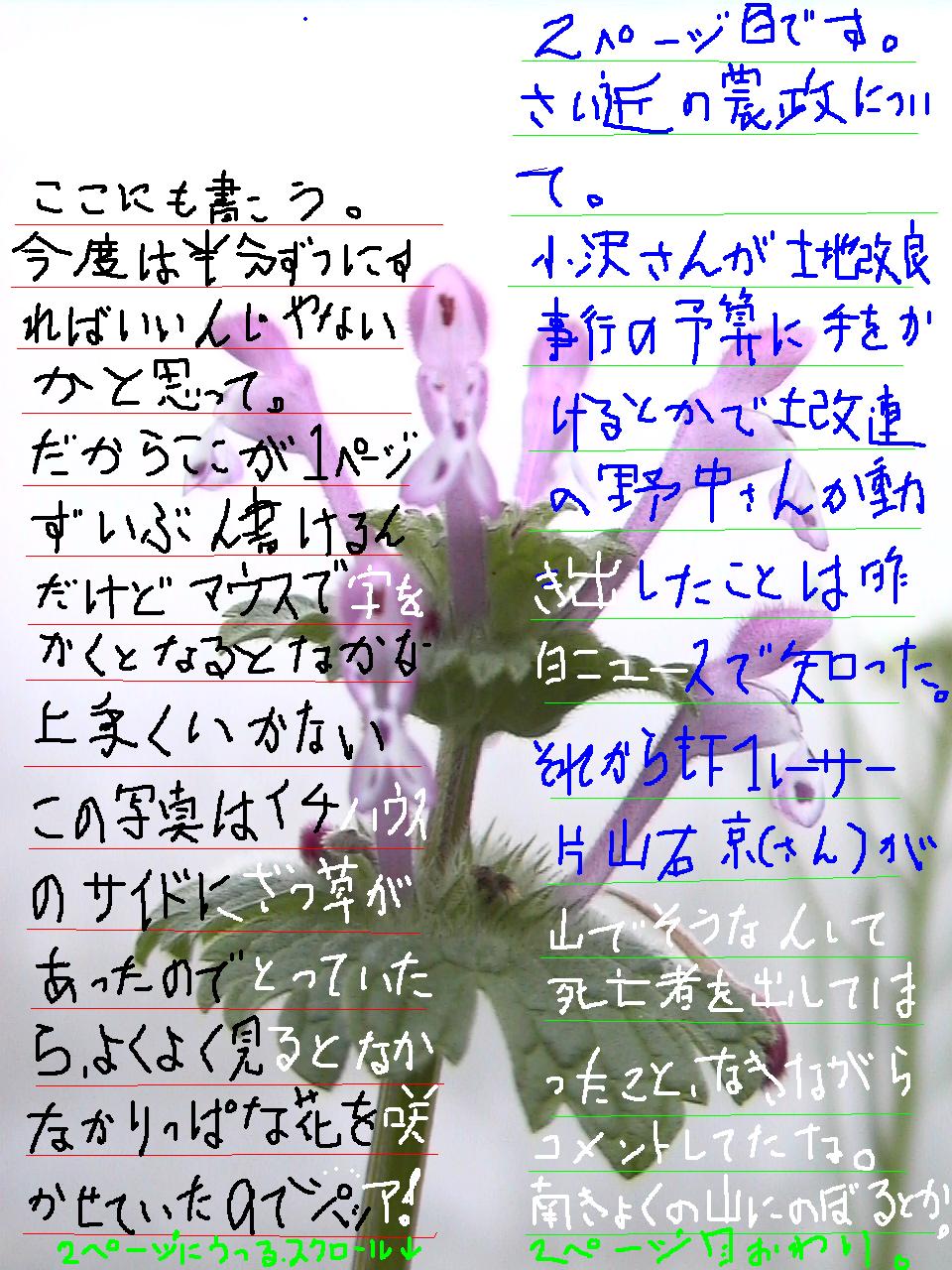 大判写真投稿シリーズ第２弾２ページ式（改良型）
