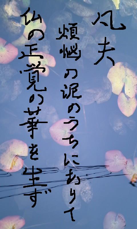 お寺から貰ったカレンダに書いてあった言葉を書き写してみた。