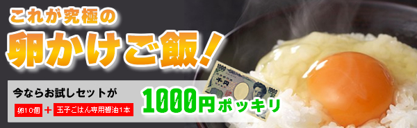 【税込+送料無料】究極の卵かけご飯セットが1000円ポッキリ