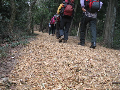 四王寺山