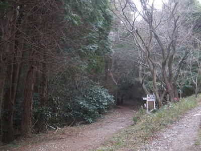 狩音山～鬼ヶ城山（交流登山）